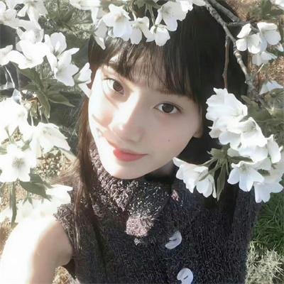 联邦调查局第五季